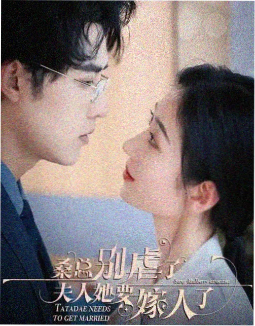 雾港夜航剧照
